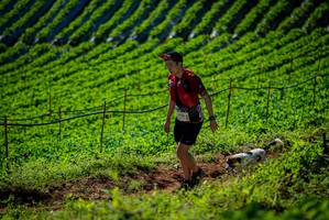 BIB: 1924
                            <button type="button" onclick="openModal(19161215)" class="btn btn-primary btn-sm float-right btn-popup" data-toggle="modal" data-target=".modal-high-quality">
                        <i class="fas fa-shopping-cart"></i> Add to Cart
                    </button>
                                            <button type="button" onclick="isThisMe(19161215, true)" class="btn btn-success btn-sm float-right btn-popup btn-isme hidden" data-toggle="tooltip" data-placement="bottom" title="นี่คือรูปของคุณใช่ไหม คลิกที่นี่เพื่อเอาเข้าอัลบั้ม">
                        <i class="fas fa-plus"></i> Add to album
                    </button>
                    <button type="button" onclick="isThisMe(19161215, false)" class="btn btn-warning btn-sm float-right btn-popup btn-isnotme hidden">
                        <i class="fas fa-ban"></i> Remove from album
                    </button>